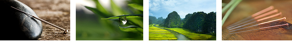 akupunktur chinesische medizin