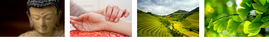 akupunktur chinesische medizin