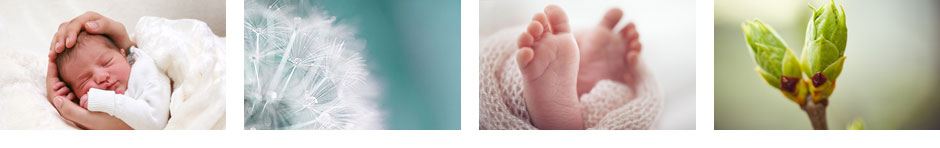 kinderwunsch chinesische medizin