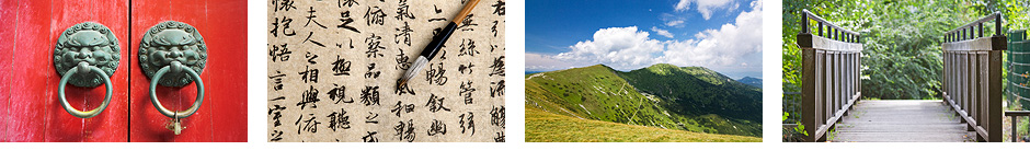 akupunktur chinesische medizin